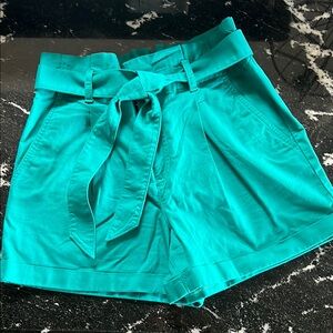 Loft Teal Women's Shorts size 8